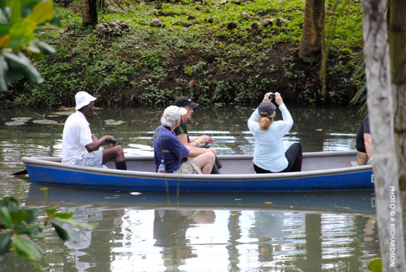 Insider S Tour — Sloth Sanctuary Of Costa Rica