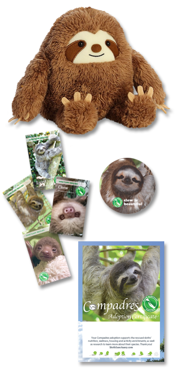 sloth plush adoption kit