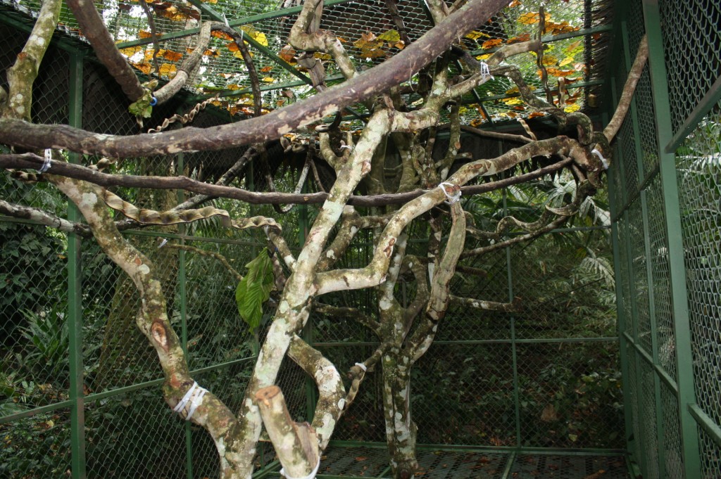 Sloth Soft Release Enclosure