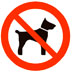 NO PETS