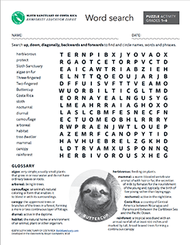 Puzzles: Word Search