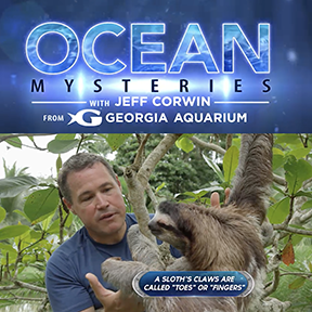 Ocean Mysteries with Jeff Corwin