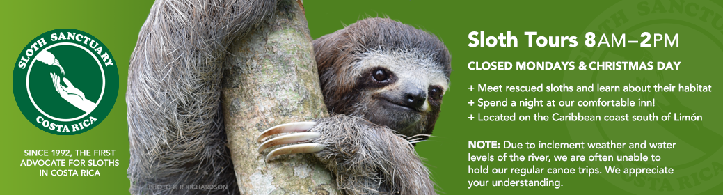 Sloth Sanctuary of Costa Rica header image